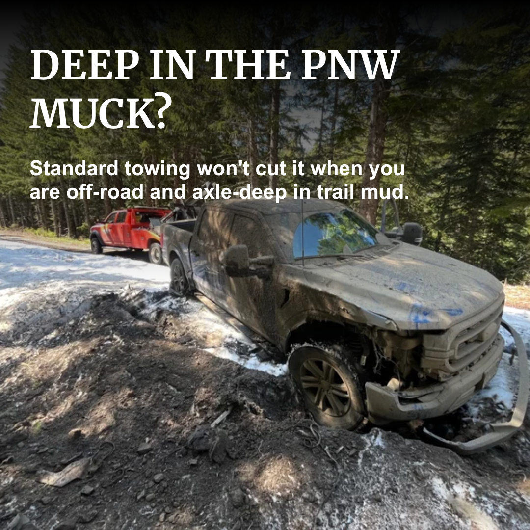 Home deep in the pnw muck version 1