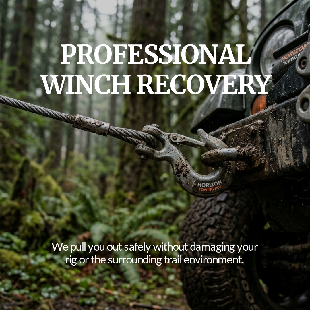 Home professional winch recovery version 1